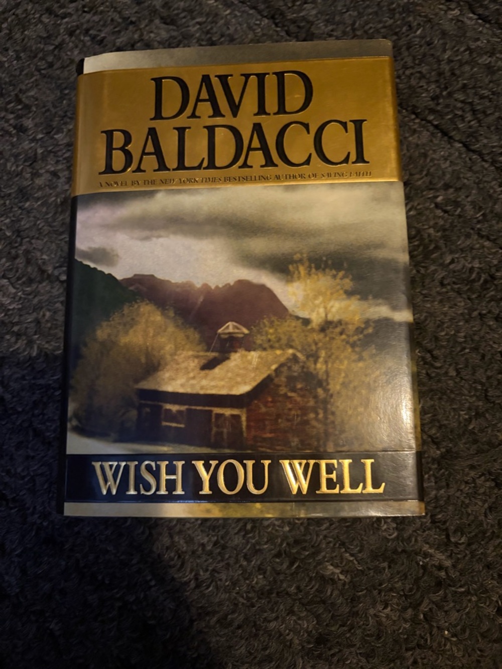 Wish you well by David Baldacci.